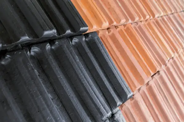Roof Painting